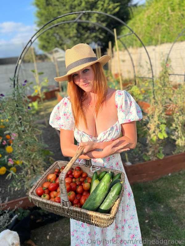 A picture from the garden 🪴 