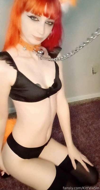 kittvixsin image #4