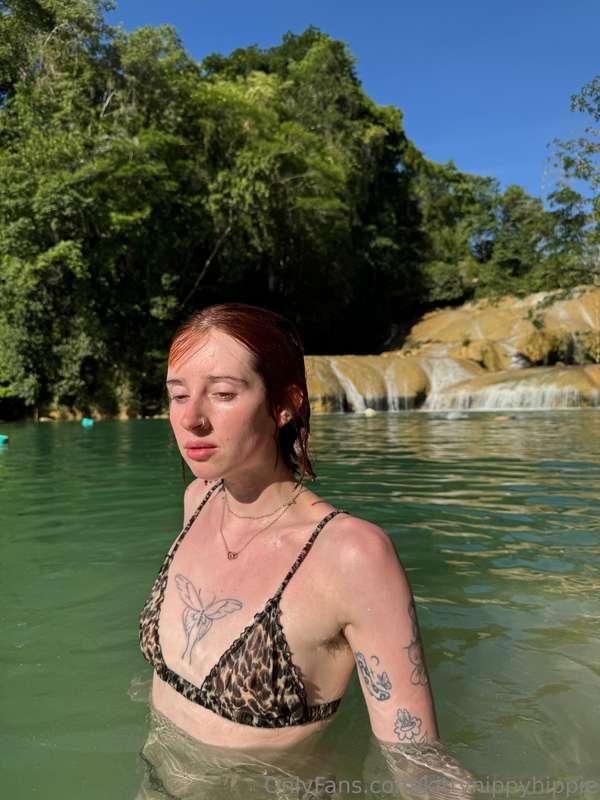 kittynippyhippie image #0