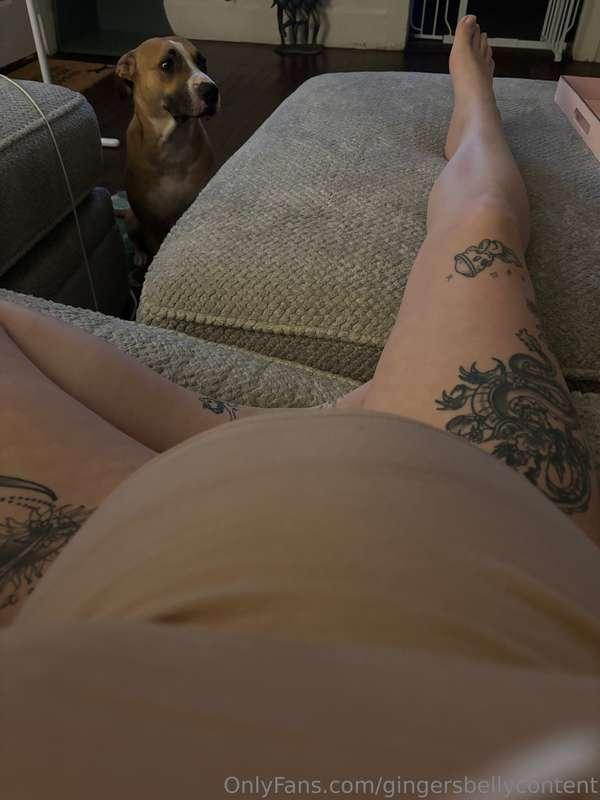 gingersbellycontent image #2