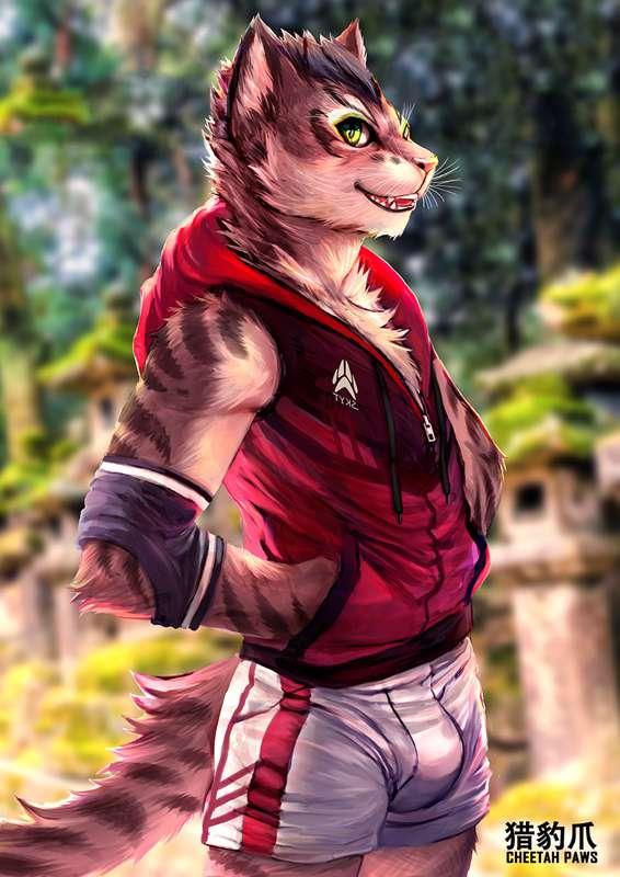 cheetahpaws main image