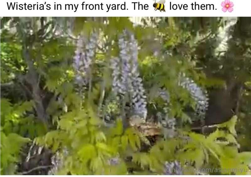 It’s a beautiful day! Just was outside gardening.