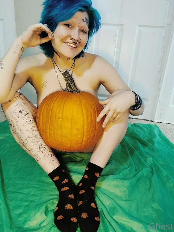 🎃🎃🎃🎃🎃