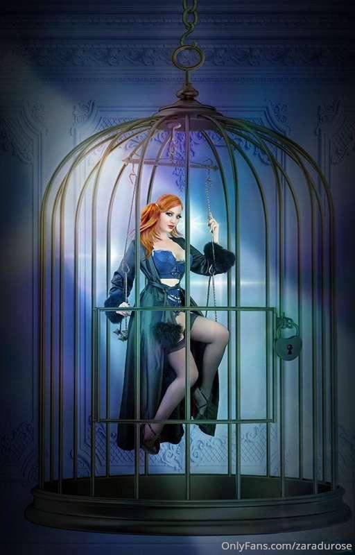Enter my cage ⛓