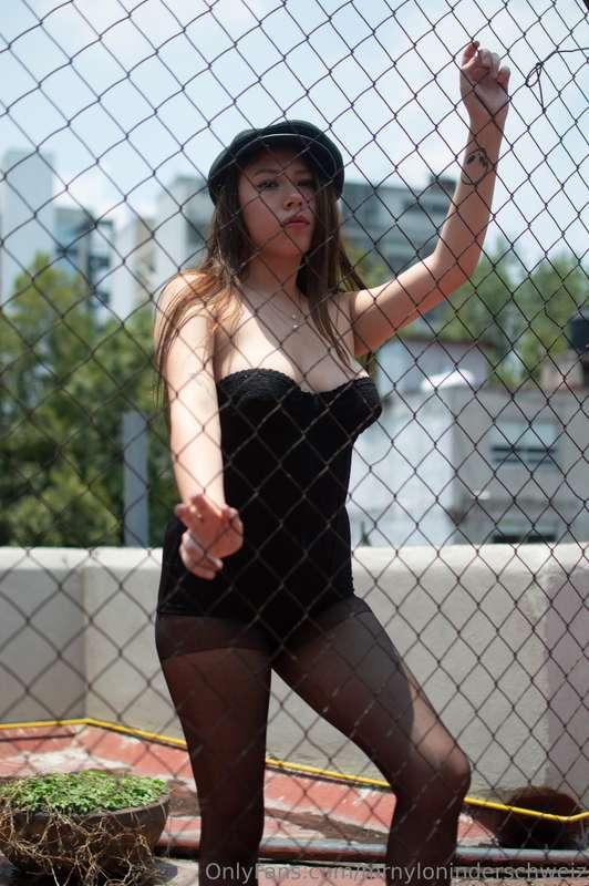 mrnyloninderschweiz image #0