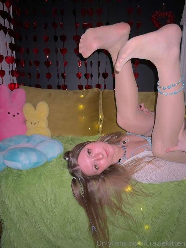 craziekitten image #1