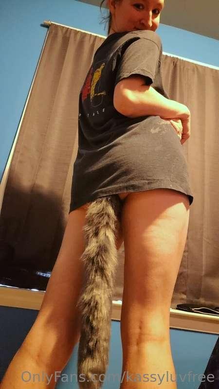 Do you want to come play with my tail?