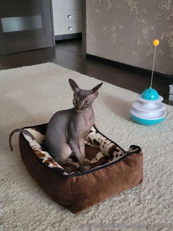 lunaaura_home image #0