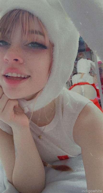 indigowhite image #79