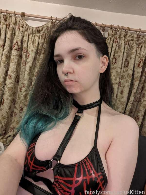 luciuskitten image #1