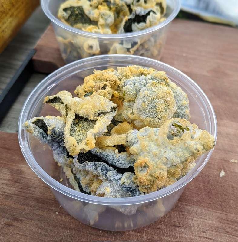 Seaweed Rice Paper Chips