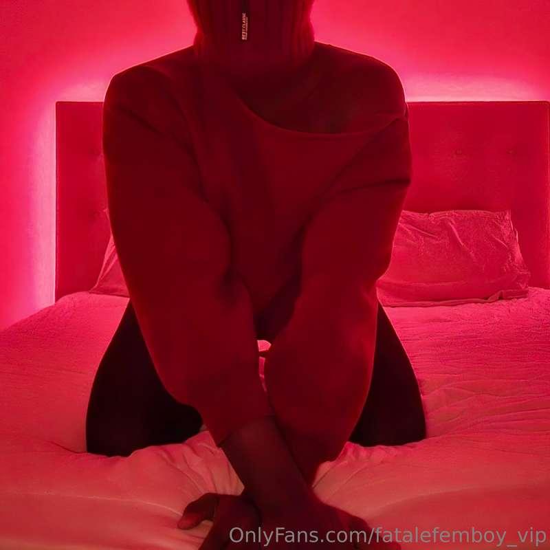 Burgundy Bussy Bandit.... This is the description, live with..