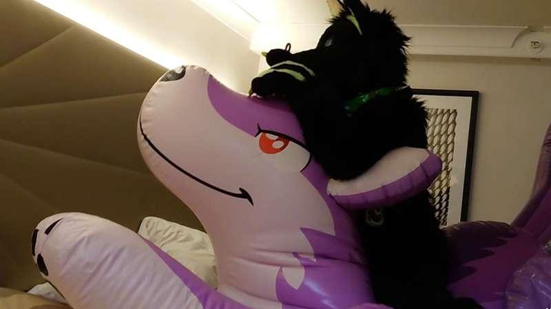 Pink wolf poking (frunt vue)