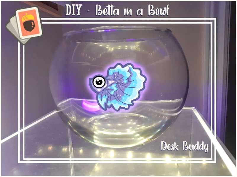 DIY - Moon Betta Desk Buddy! 