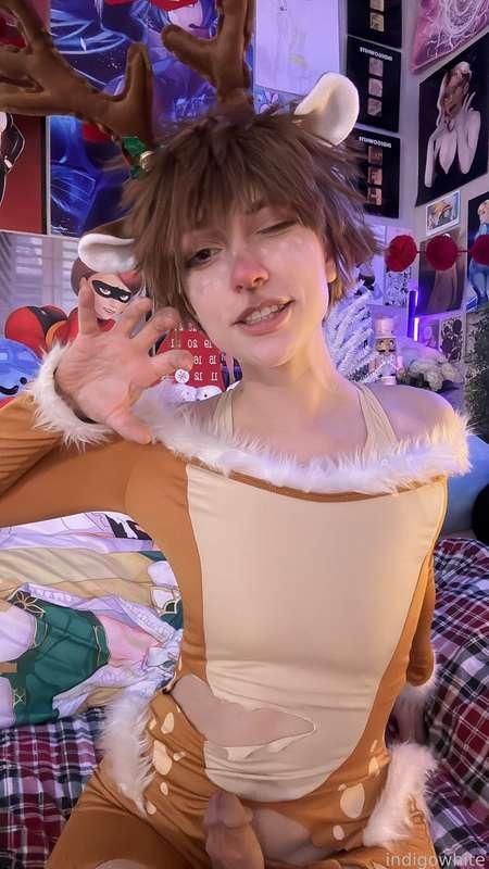 indigowhite image #14