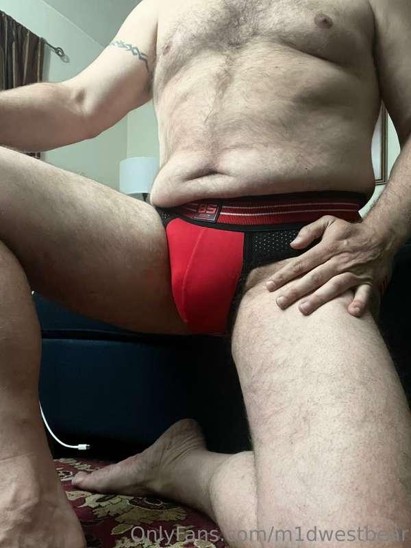 m1dwestbear image #1