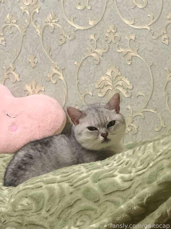 recently I changed the situation and lived in another place for almost a week and it's so sad to come back.. The only thing I really missed my cat, look at this cutie :3