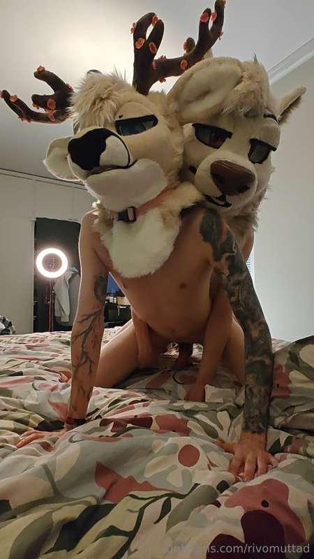 Got bred, got fed and now it's time for cuddles n' bedIt's g..