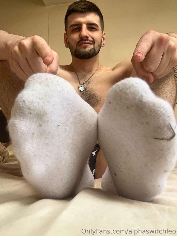 alphaswitchleo image #10