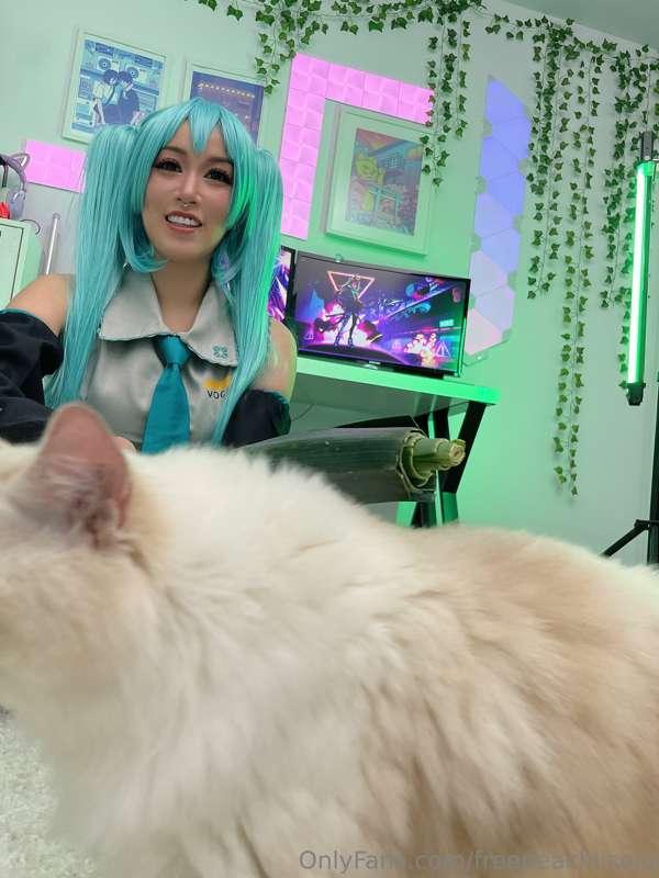 Hatsune Miku and her leek and her Tofu lol