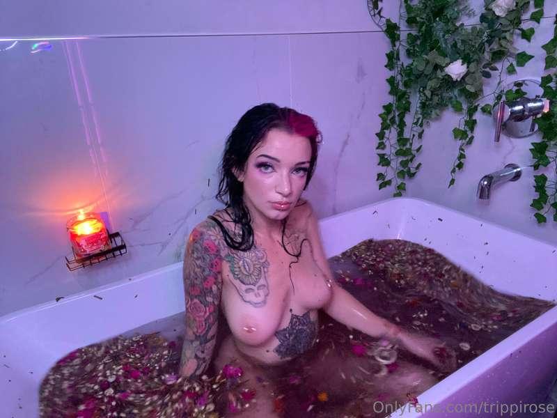 trippirose image #15