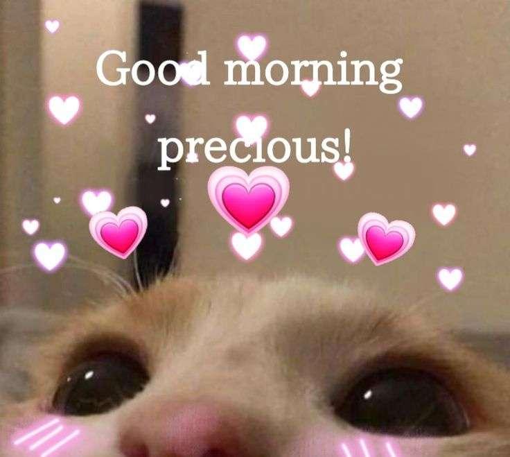 GOOD MORNING CUTIES~!!!