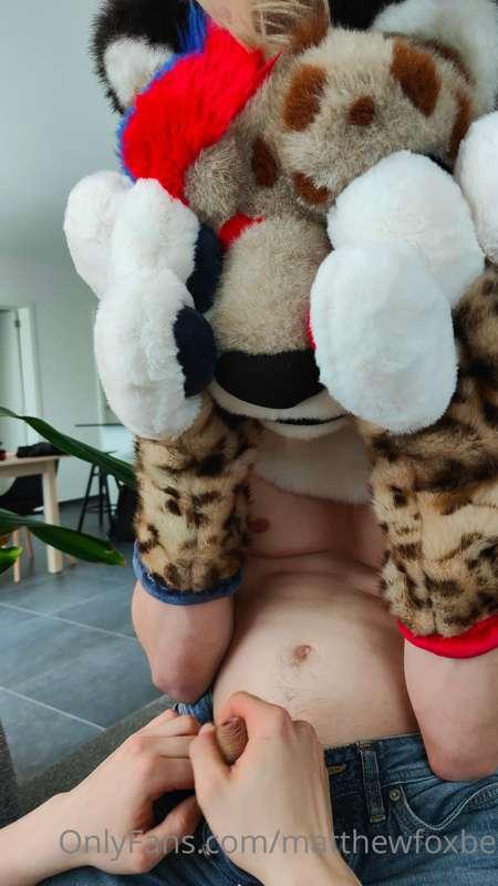 matthewfoxbe image #2