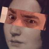 ilporcodentro