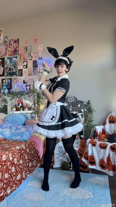 indigowhite image #8