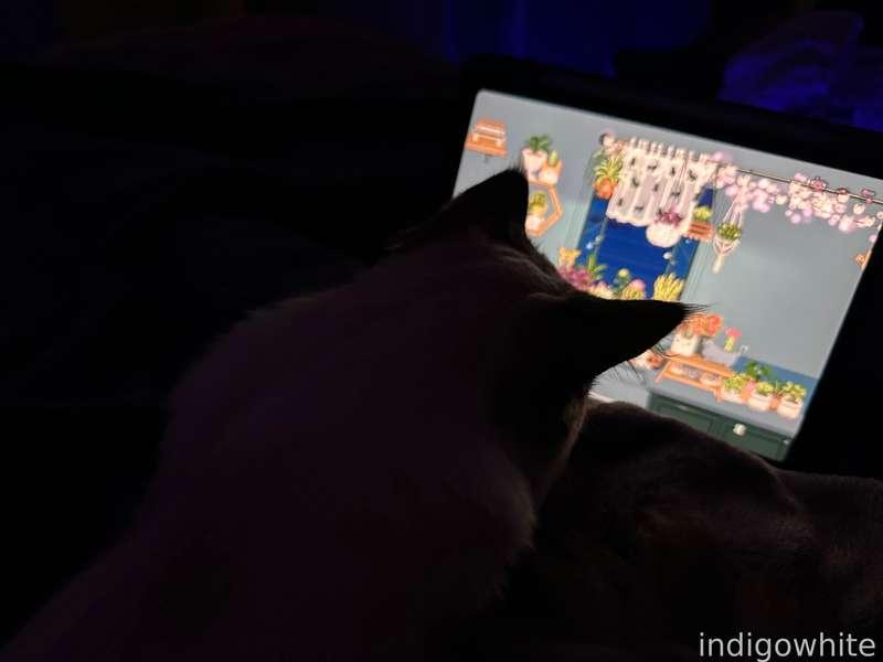 indigowhite image #38