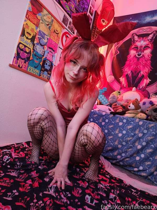 faebearx image #2