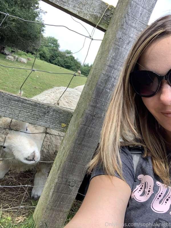 Sheepish 🤣