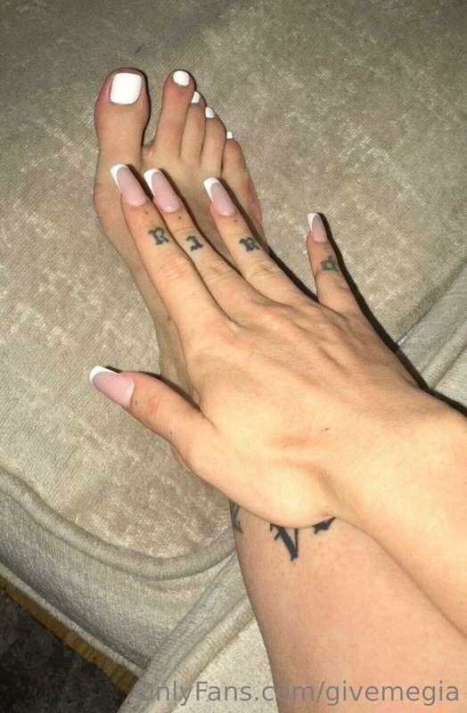 givemegia main image