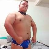 amateurcubs