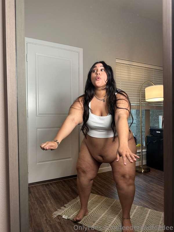 feederandfeedee image #1