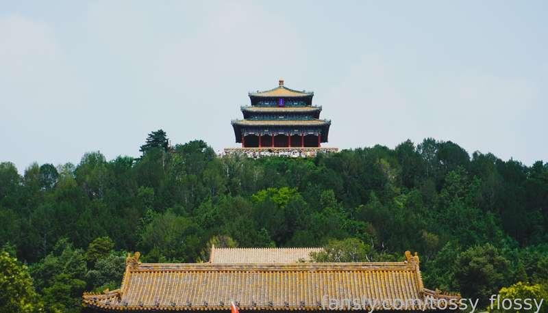 tossy_flossy image #0