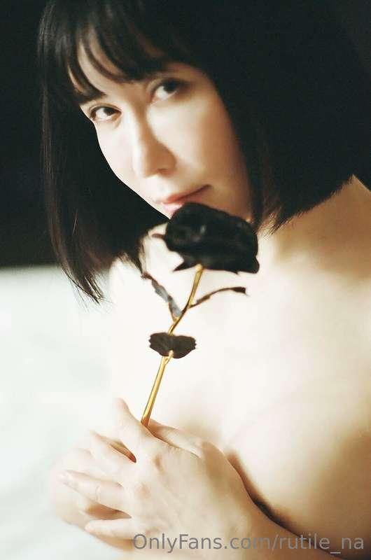 黒のお花