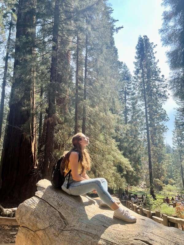 Kings Canyon