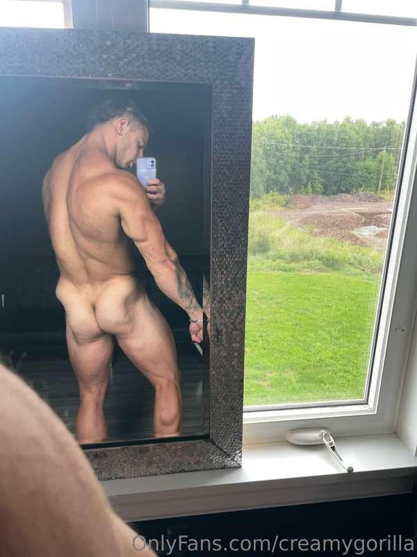 creamygorilla image #2