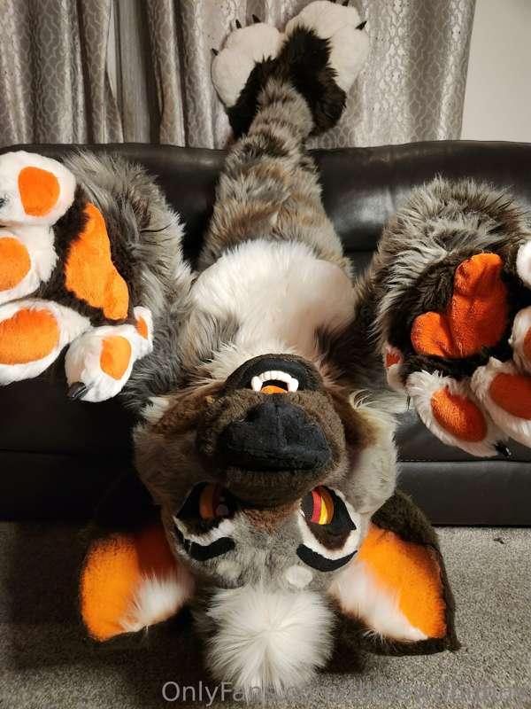 ad_rutt image #5