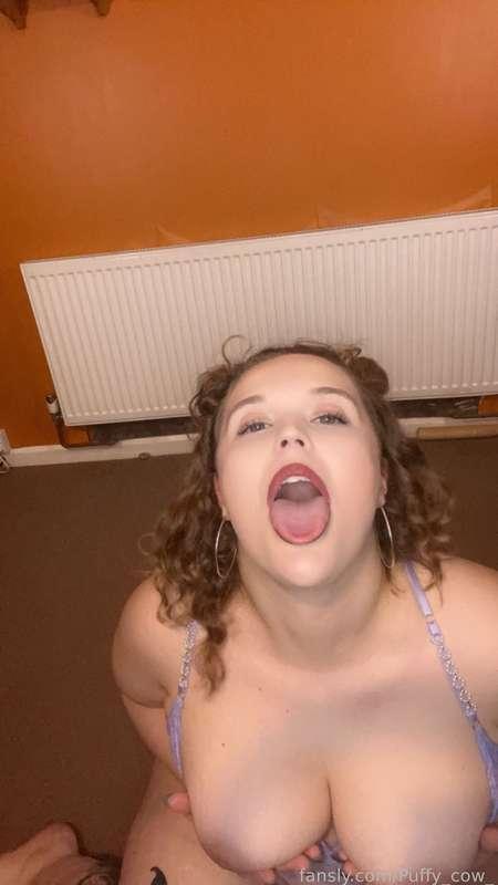 puffy_cow_ image #18