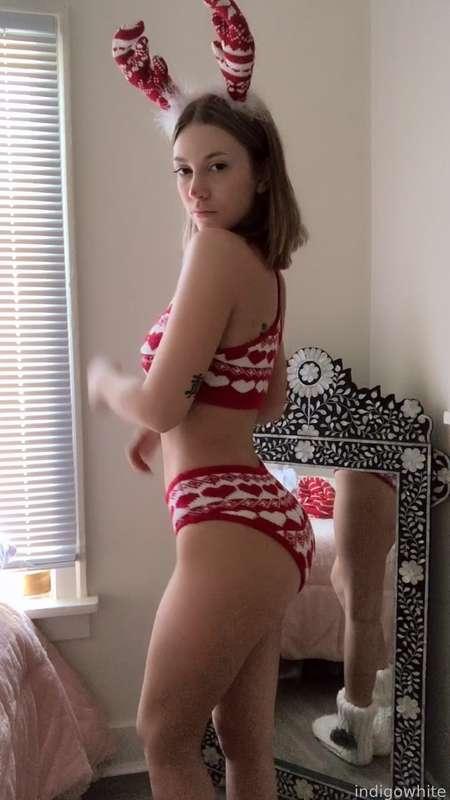 indigowhite image #249