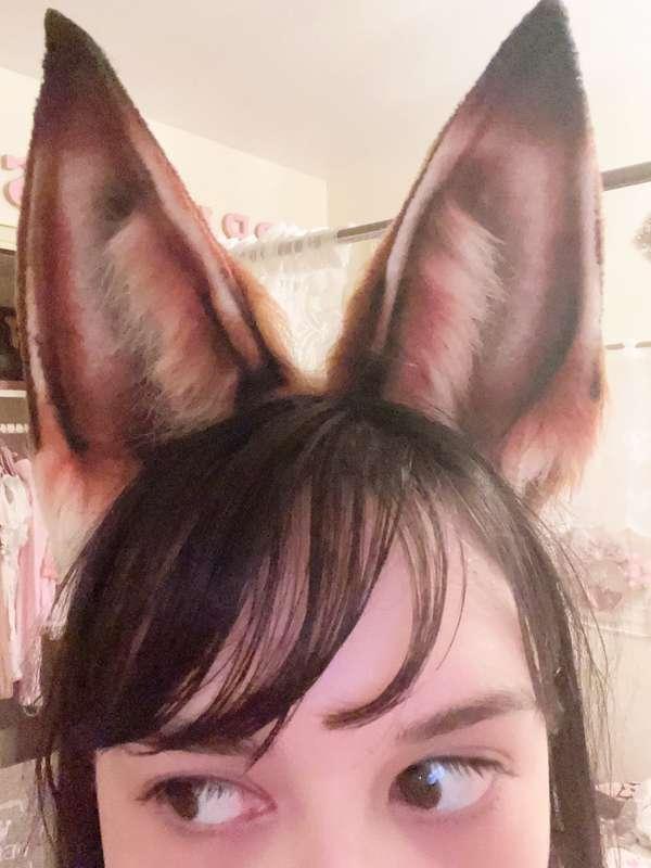 a certain ears and tail set got here in the mail today... 🦊 