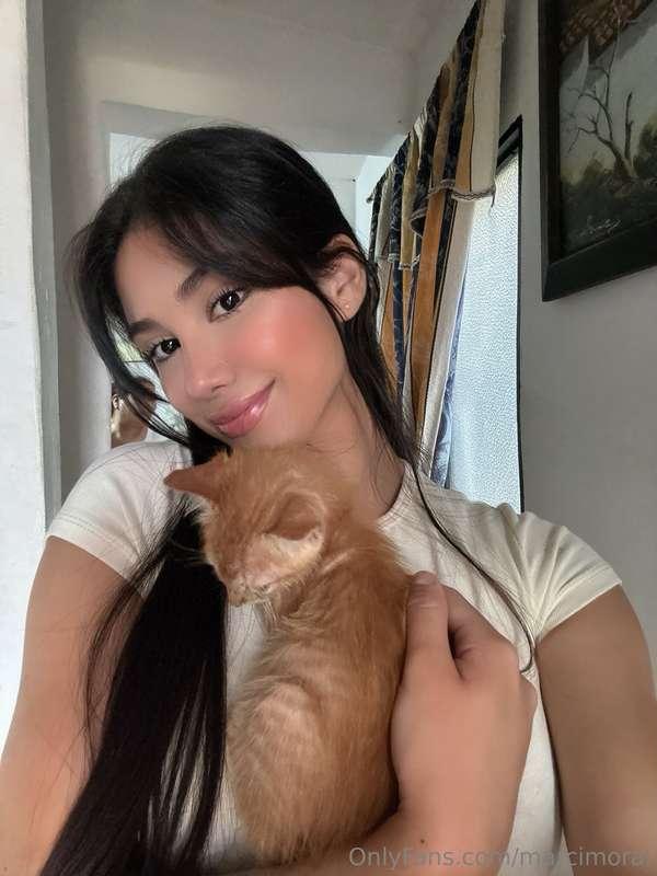me parece que veo un lindo gatito 😻