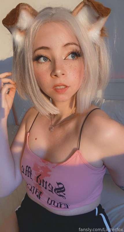 linzerfox image #2
