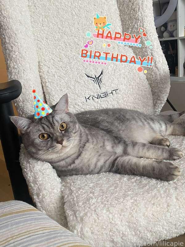 Birthday boy Sasha 🥳🎉! He turned 2 years old 💗 Congratulate my baby in the comments please :3
Also you can tip him 1$ for cat treats or toys, he will be very happi happi happi 🐾✨

#pets #cats #cutie