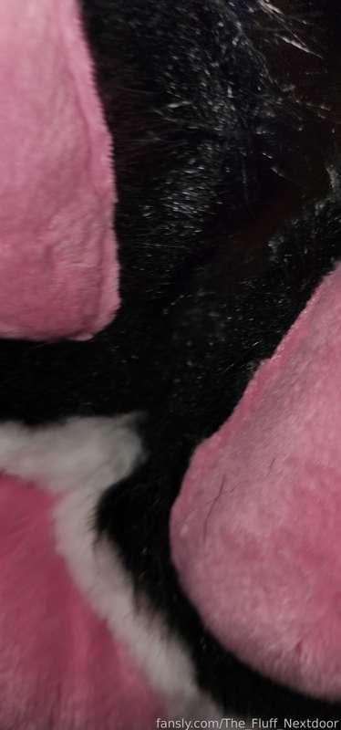 the_fluff_nextdoor image #11