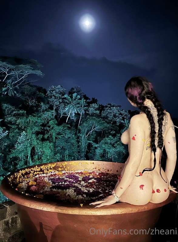 zheani image #1