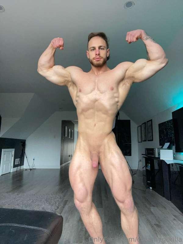 creamygorilla image #1