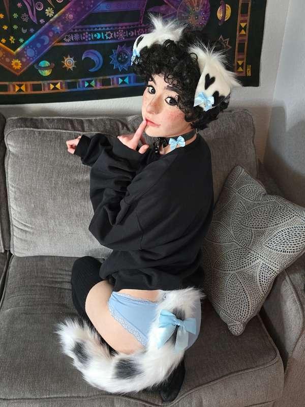 dalmation pup